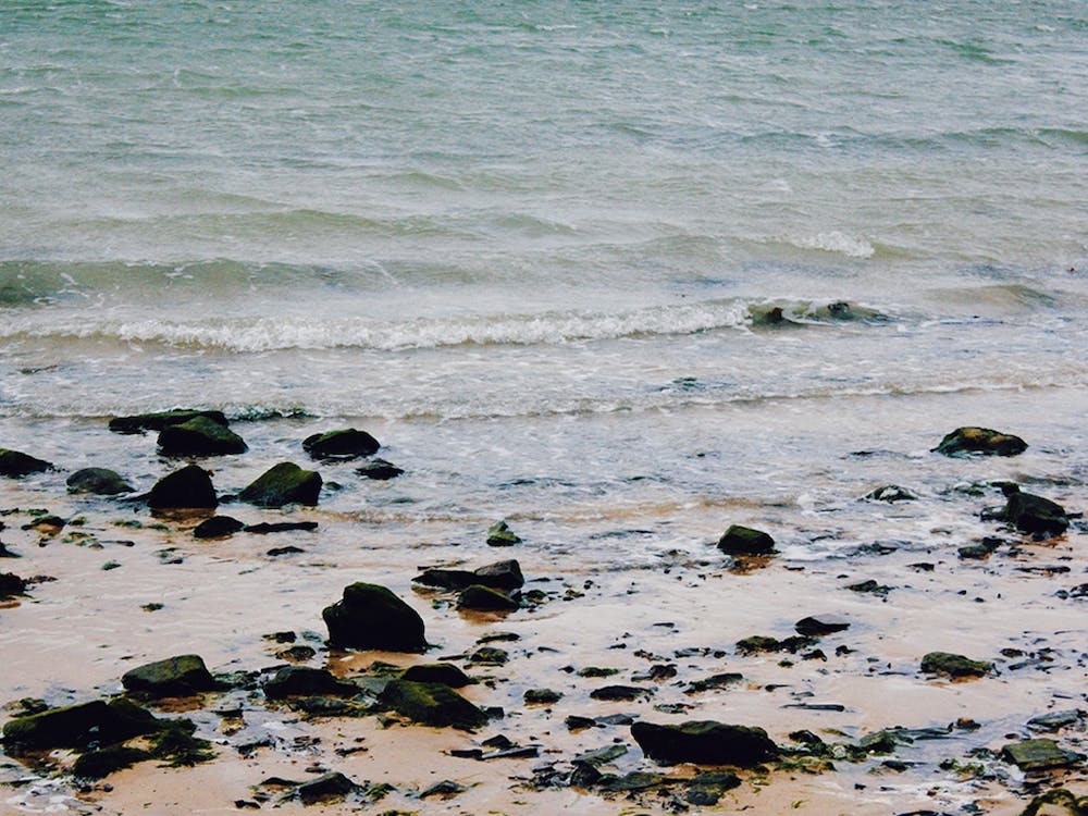 Sand Between Your Toes