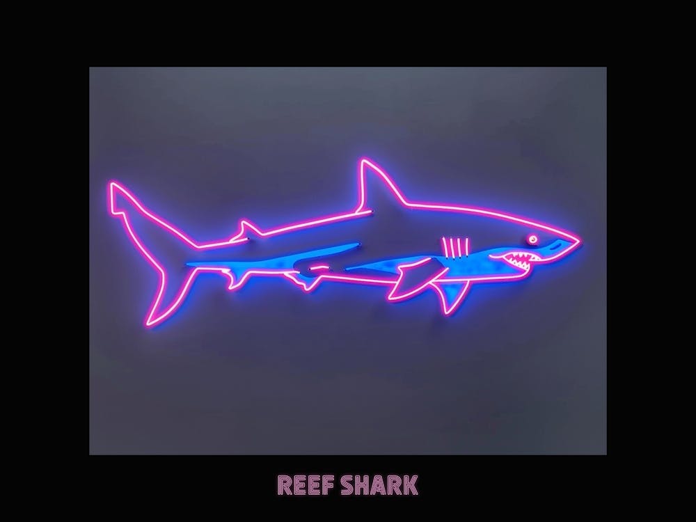 Neon Pink White Tip Reef Shark Poster 5