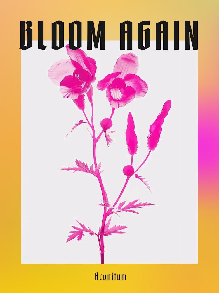 Hot Pink Aconitum 1 Poster