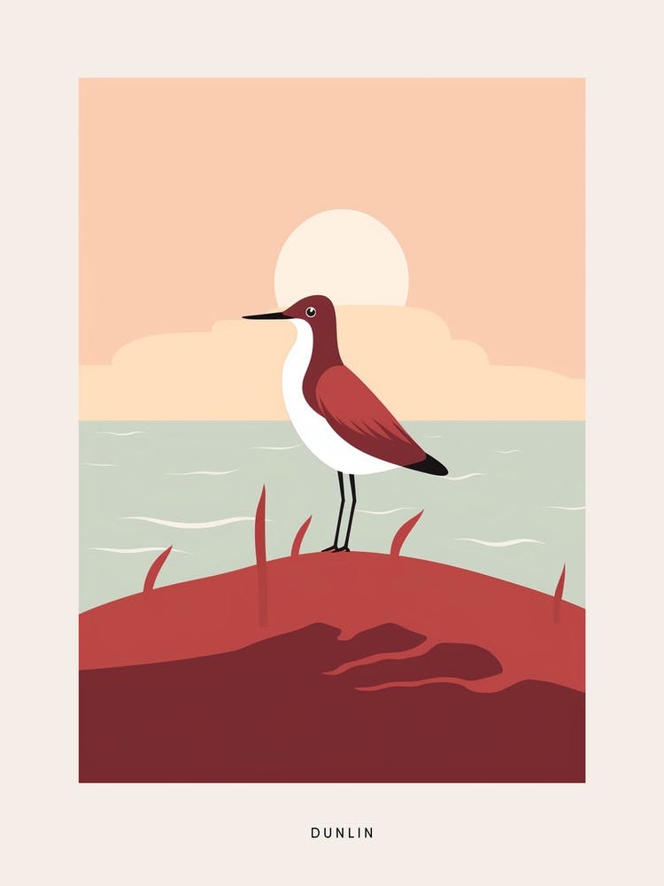 Minimalist Dunlin 1 Bird Poster