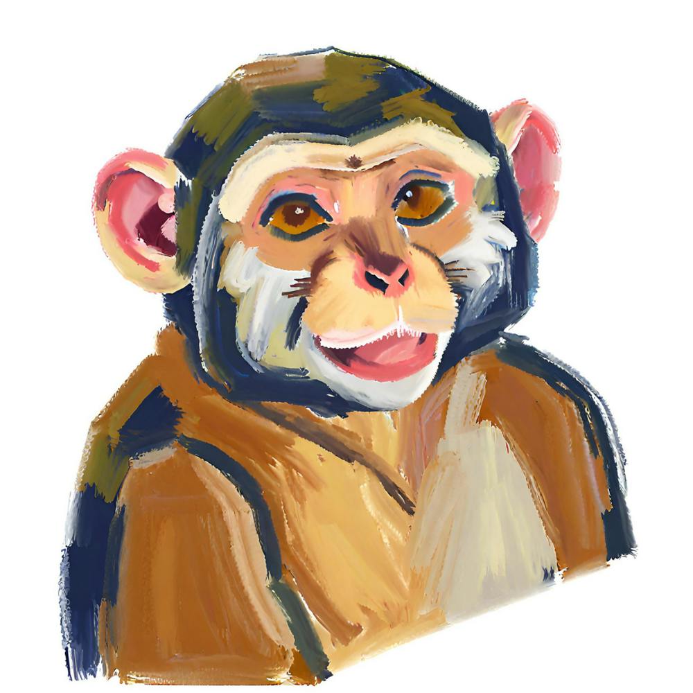 Capuchin Monkey 04