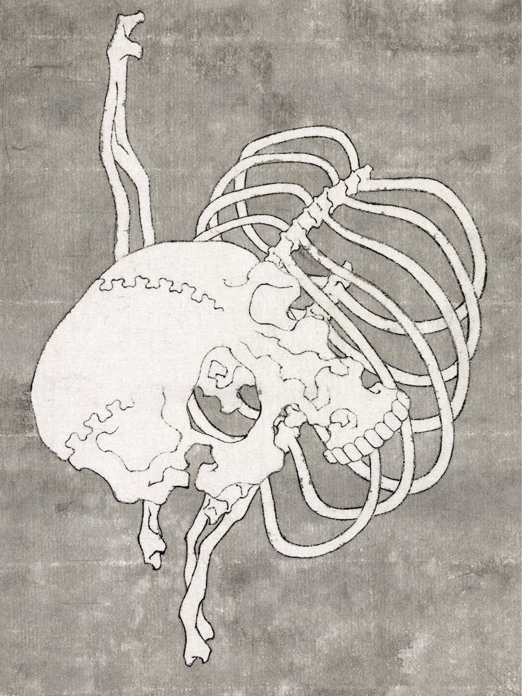 Schedel En Een Ribbenkast, Katsushika Hokusai