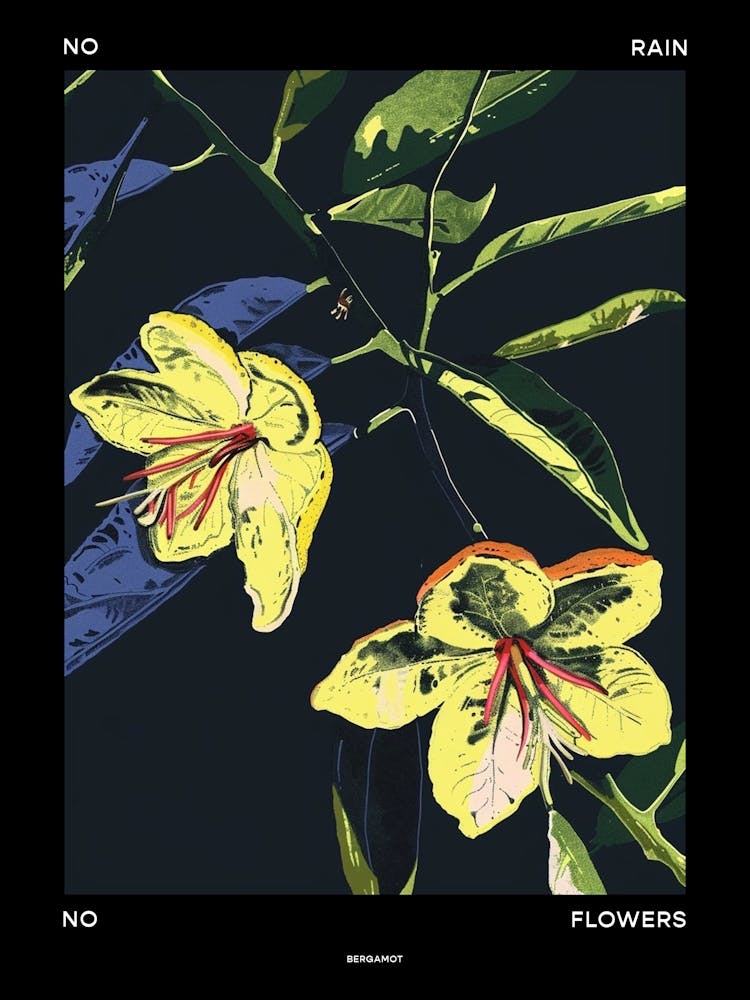 No Rain No Flowers Poster Bergamot 3