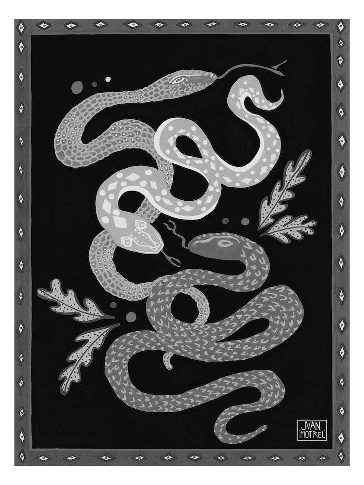 Black And Withe Snakes