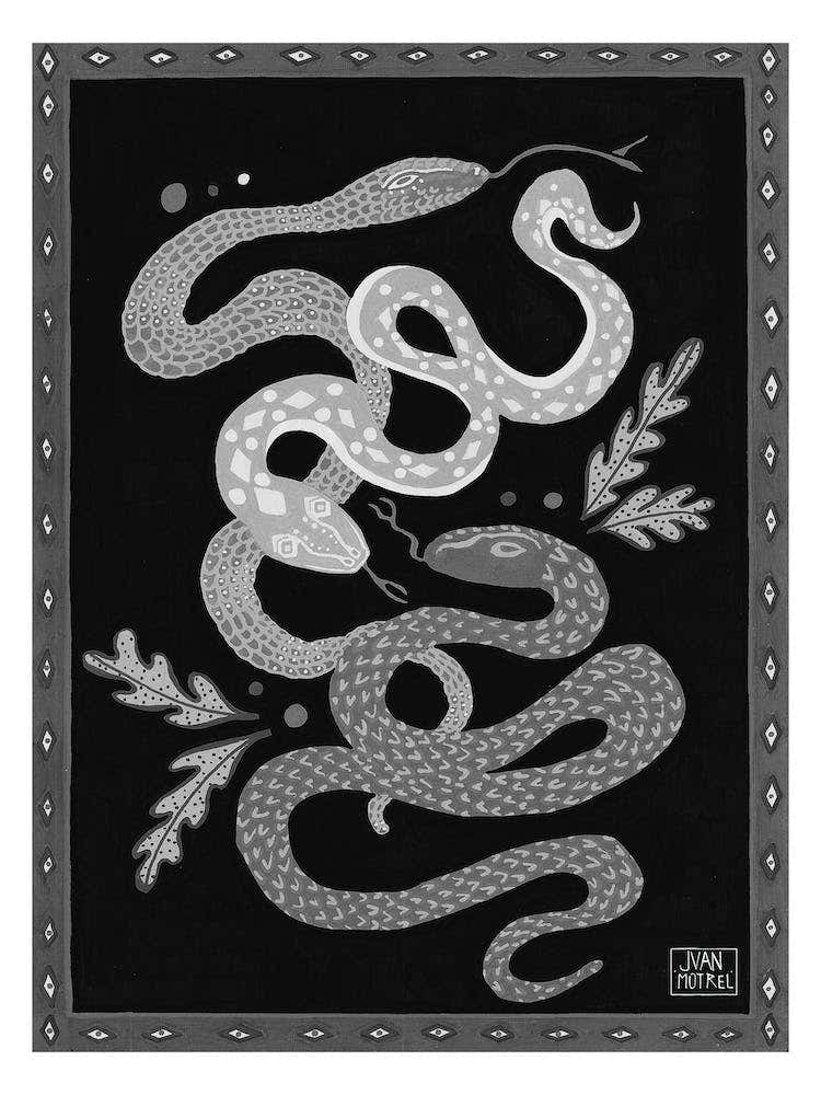 Black And Withe Snakes