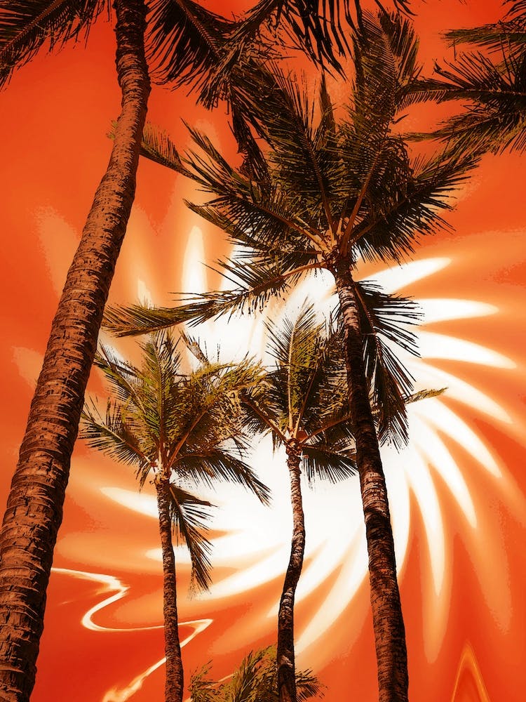 Surreal Palm Tree Sun