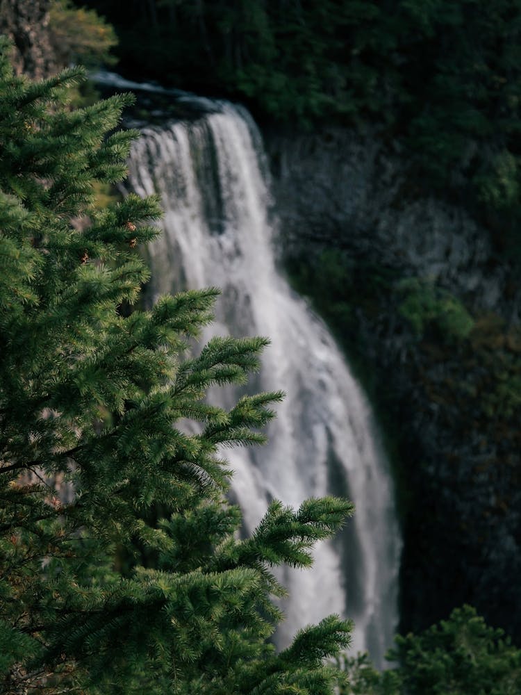 Waldwasserfall II