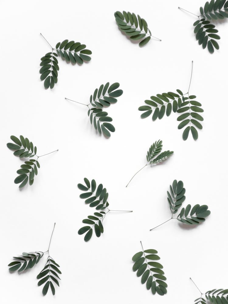 The Beauty Of Mother Nature