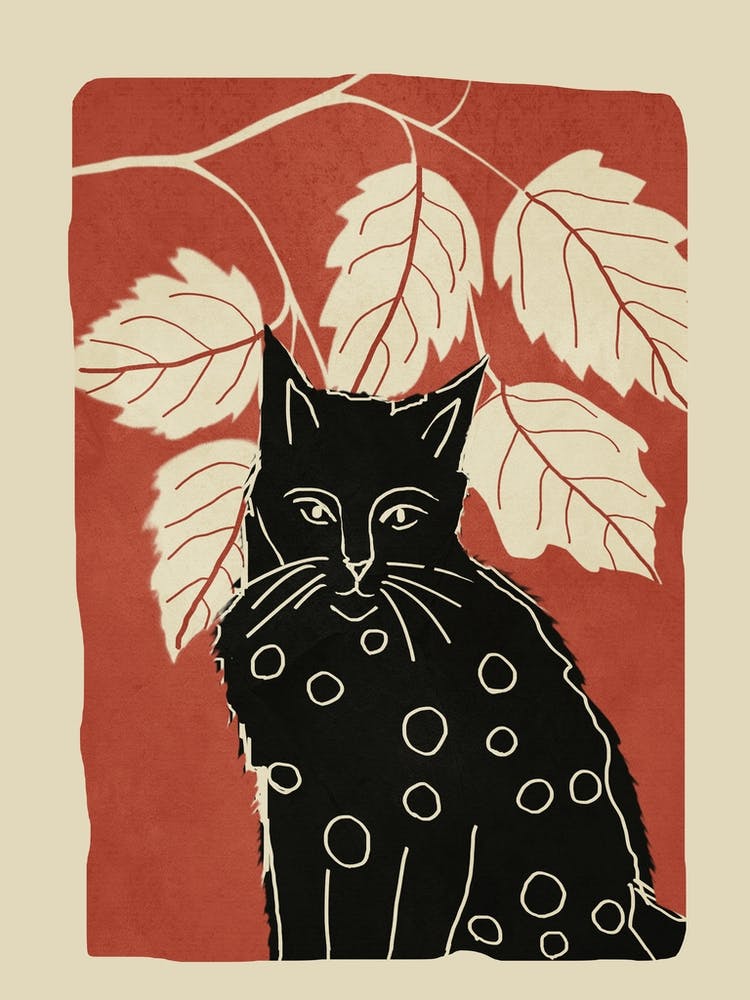 Black Cat 2