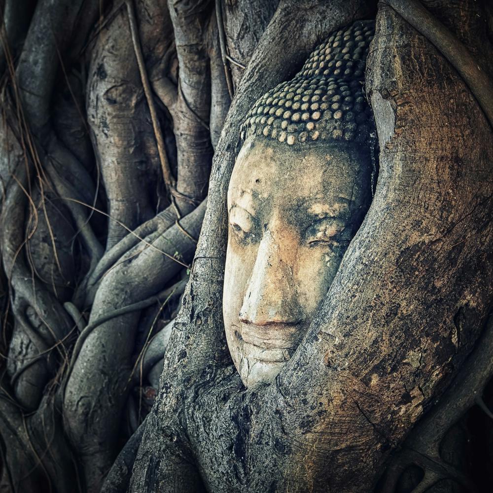 Ayutthaya Kopfplatz