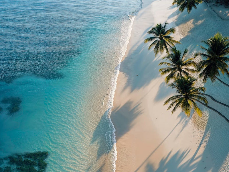 View Of A Tropical Beach