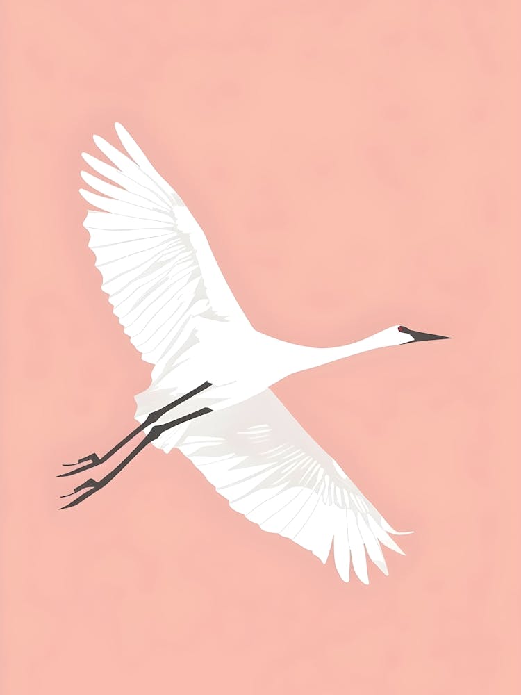 Egret In Flight 1