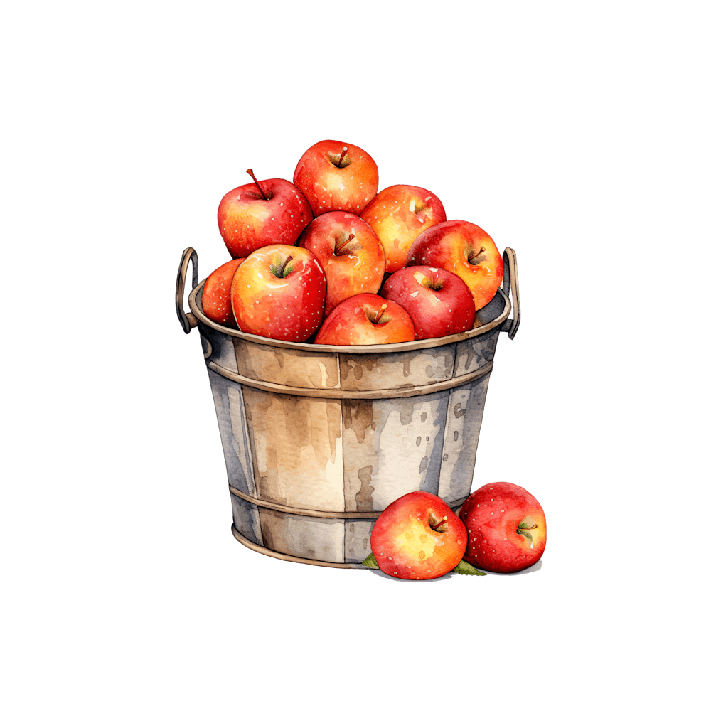 Apples In A Bucket 5