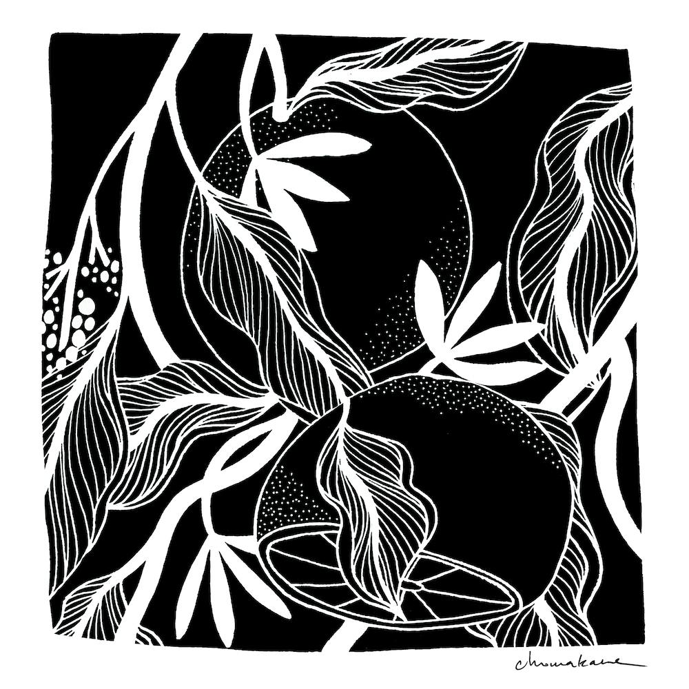 Blood Oranges Square