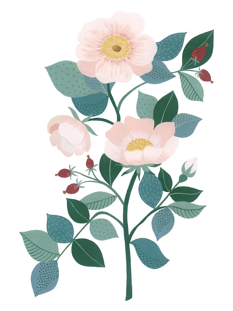 Wild Rose Flower Botanical Painting