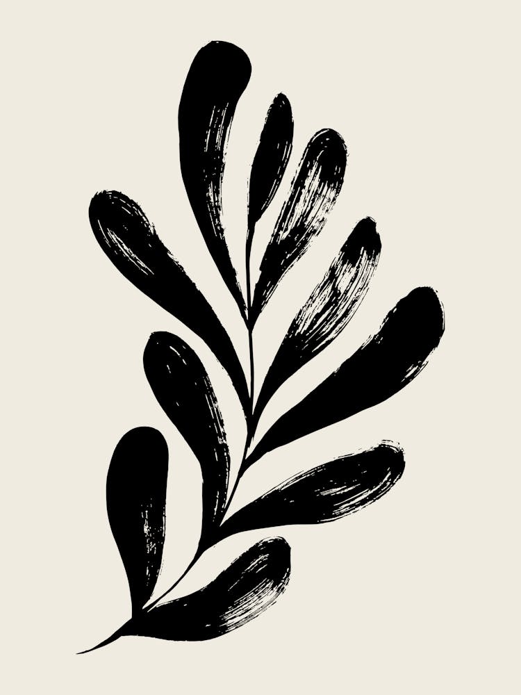 Leaf In Black And White