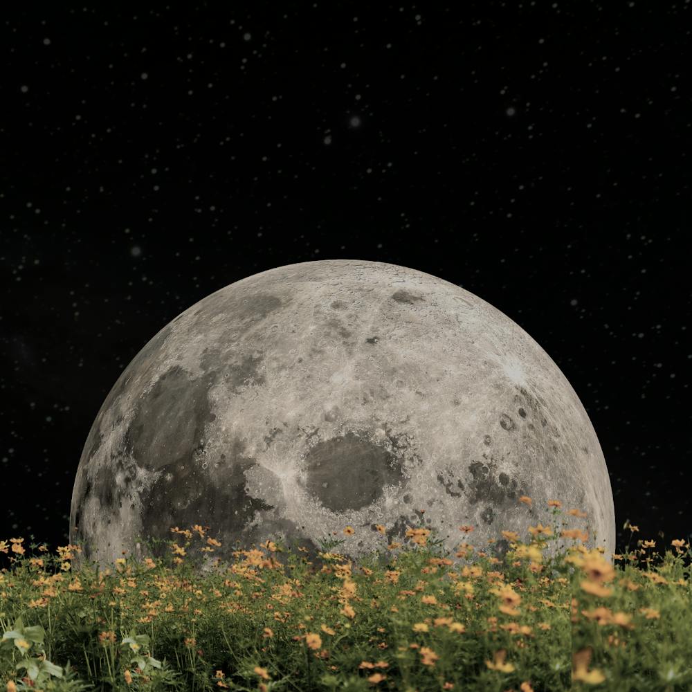 Full Moon In The Sky 3