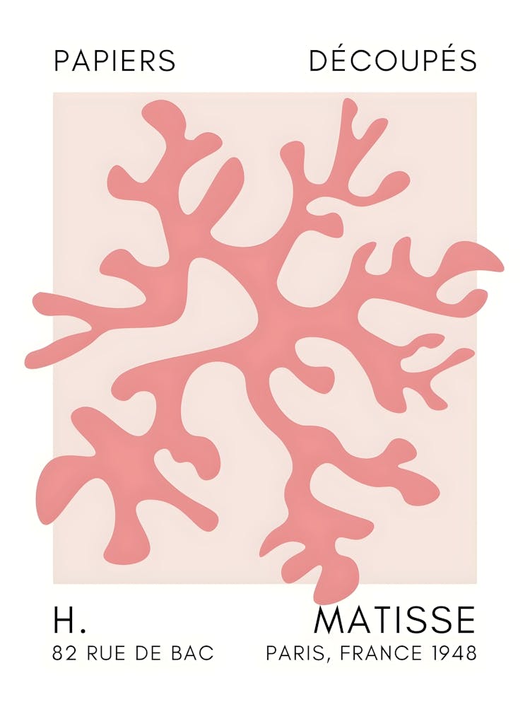H Matisse 49