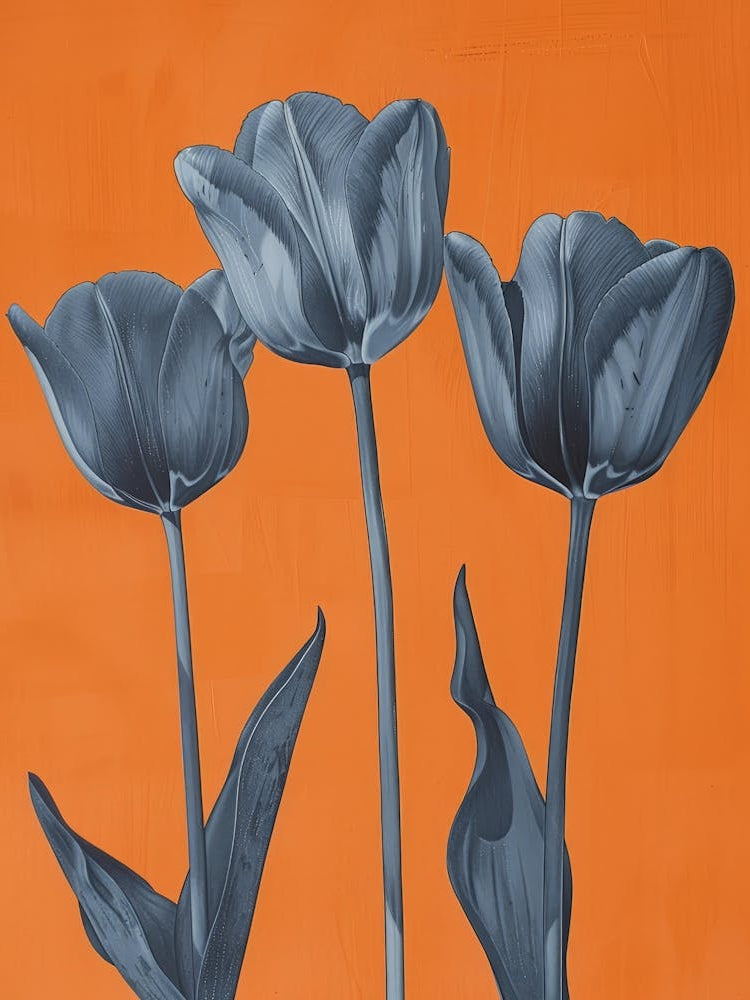 Tulips On Orange