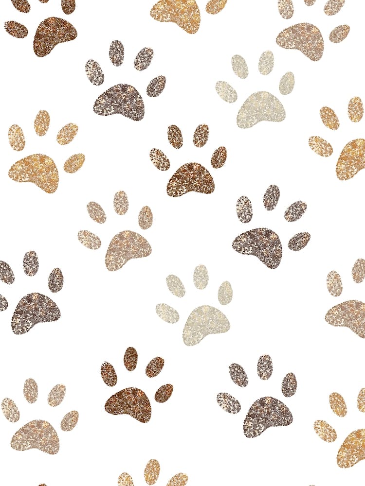 Shining  Paw Prints
