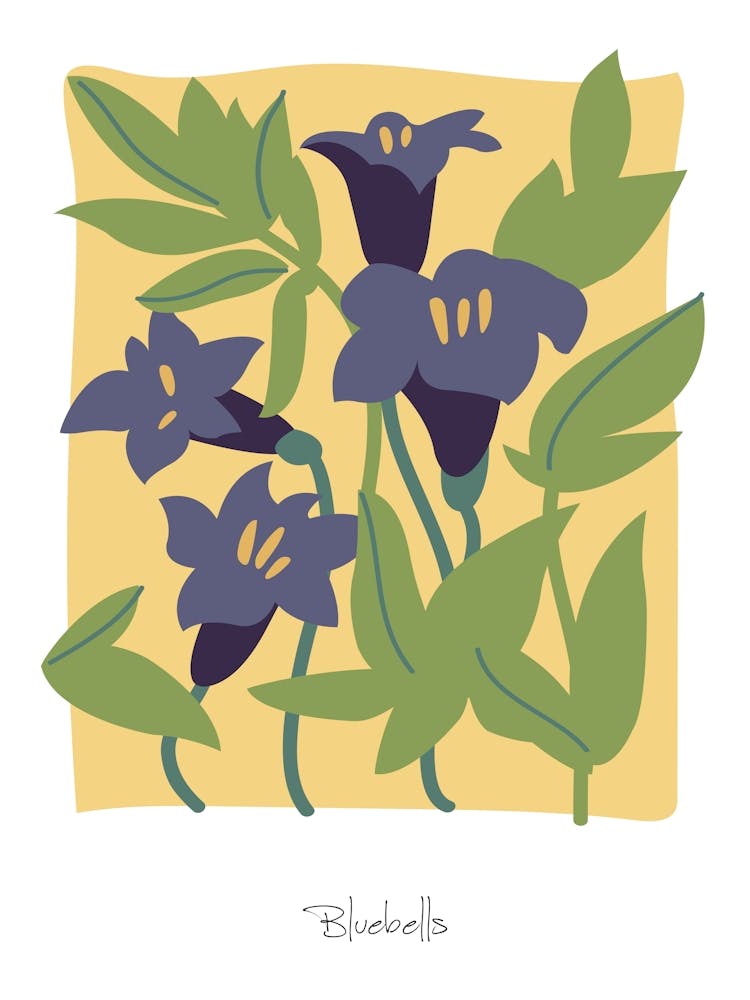 Bluebells Floral