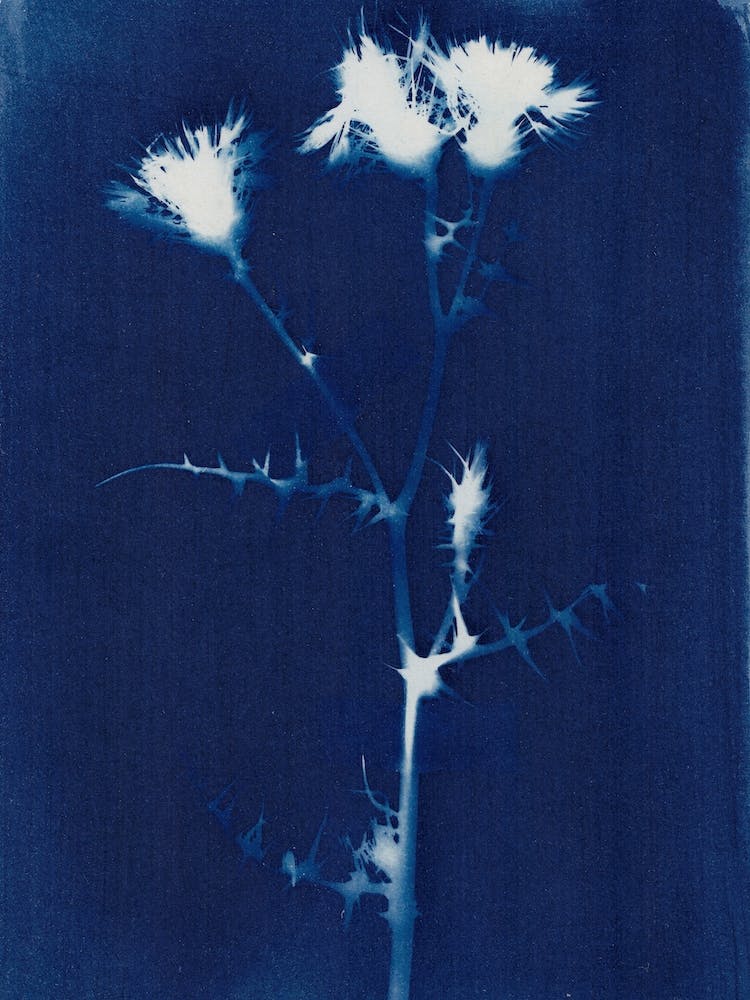 Magic In The Ordinary 2