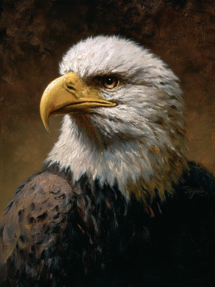Bald Eagle 11
