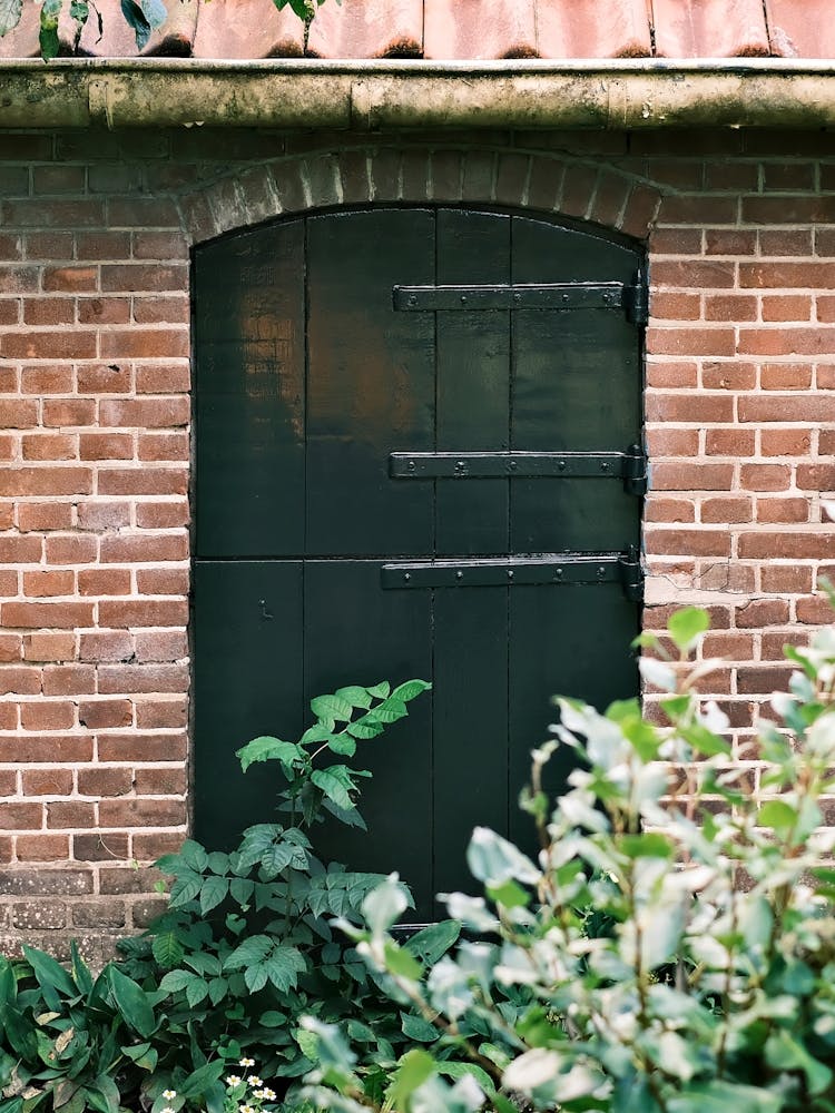 Black Dutch Farm Door In The Garden // The Netherlands Travel Photography