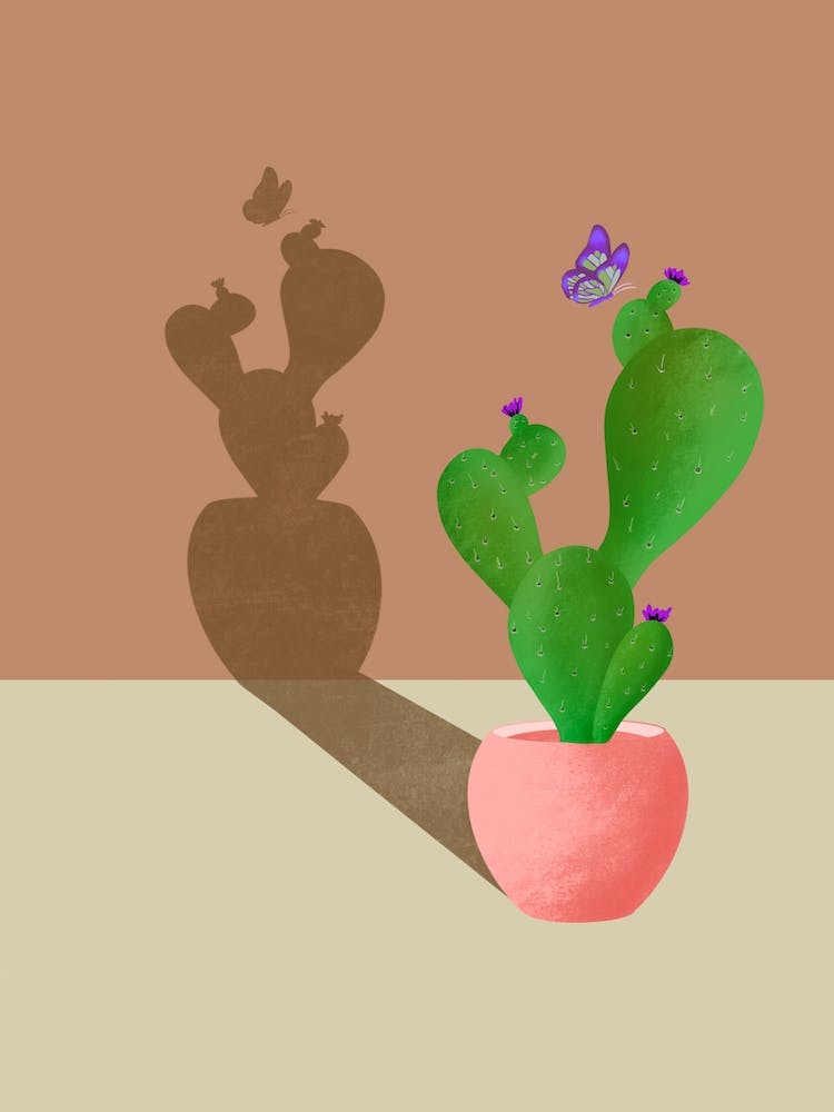 Cactus Shadow