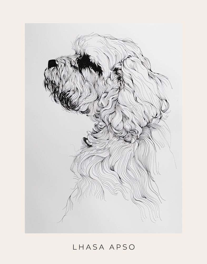 Lhasa Apso Dog Line Sketch 2 Poster