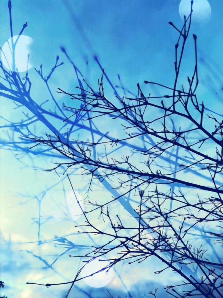 Winter