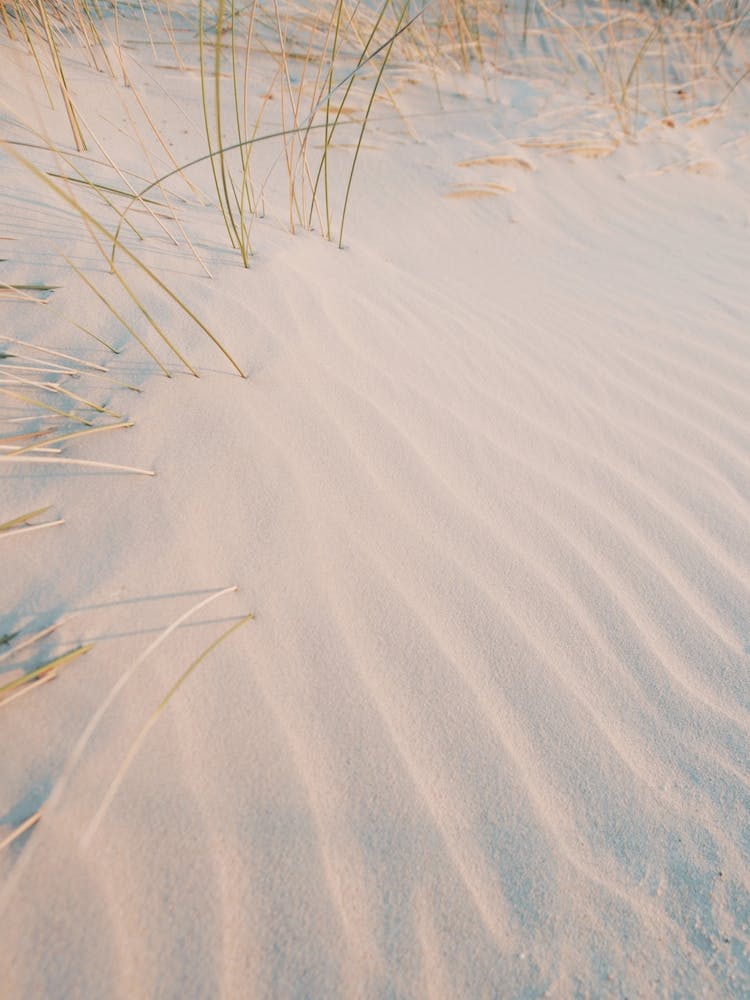 Sand Ripples