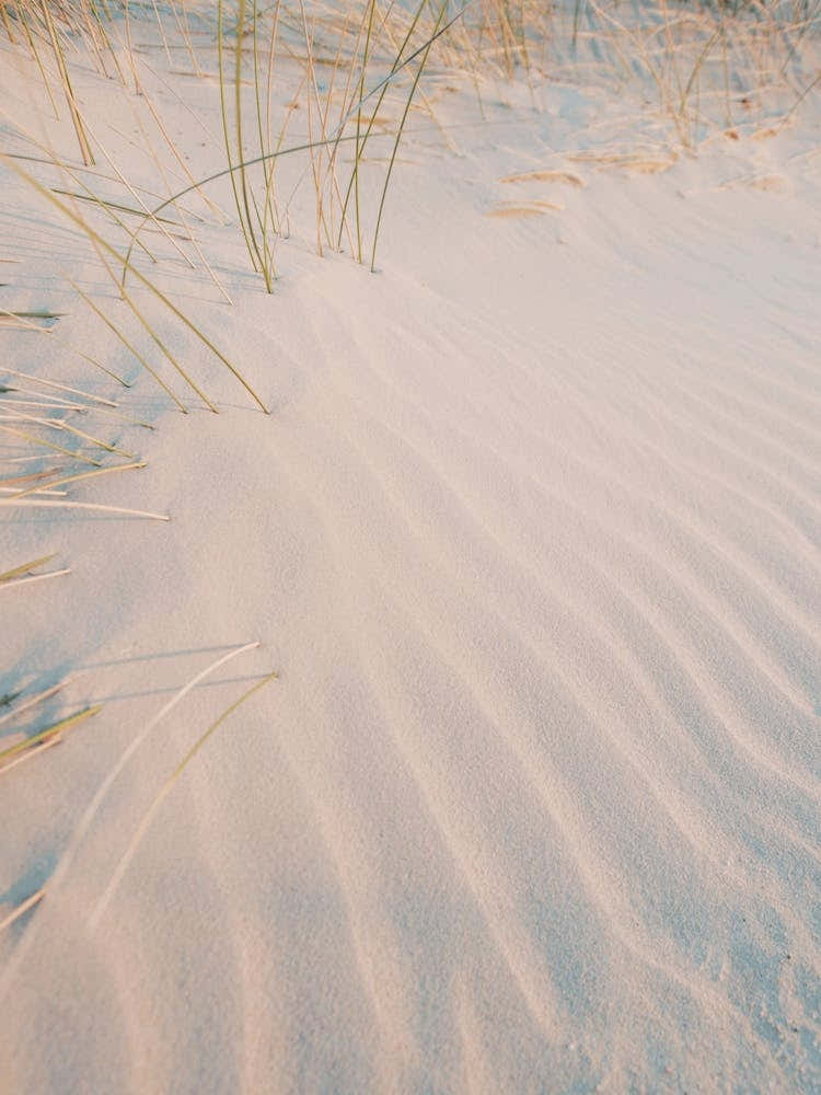 Sand Ripples