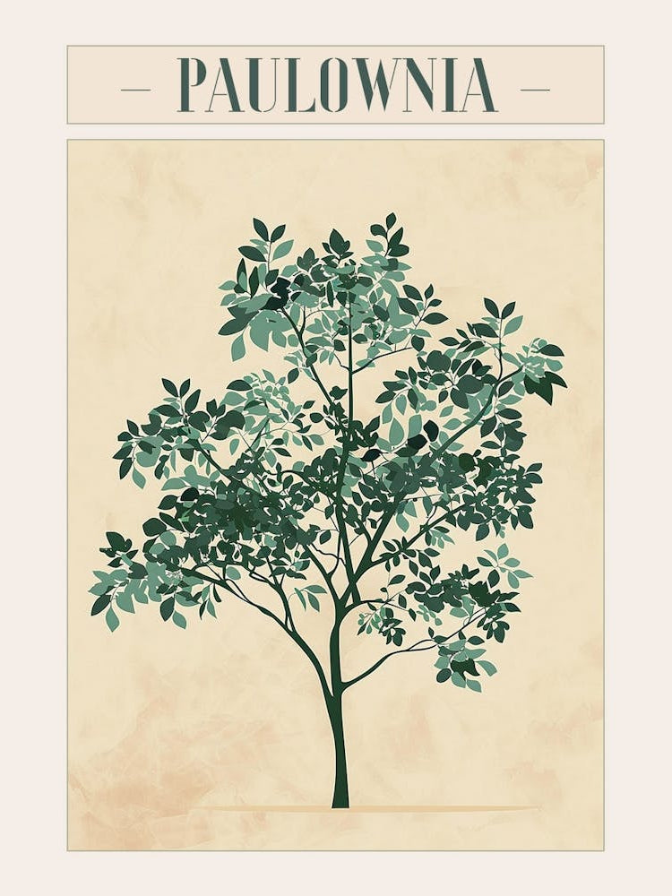 Paulownia Tree Minimal Japandi Illustration 1 Poster