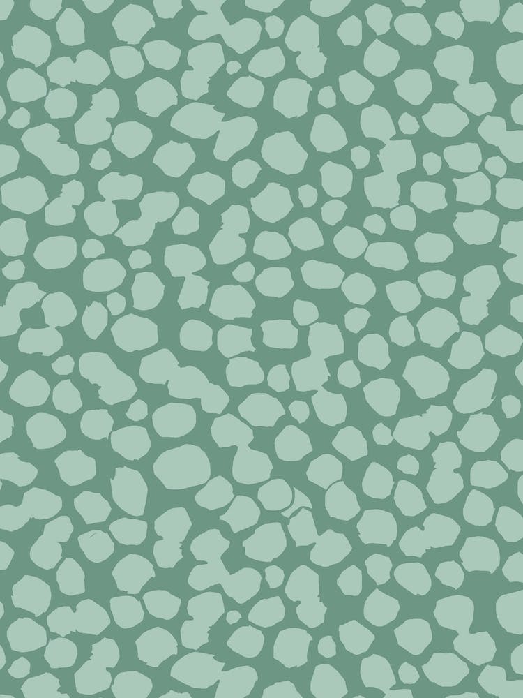 Sage Minimalist Marks