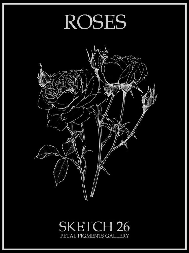 Roses Sketch 26 Poster Inverted