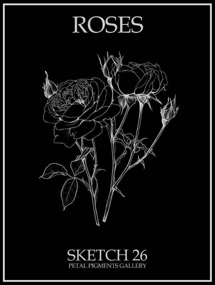 Roses Sketch 26 Poster Inverted
