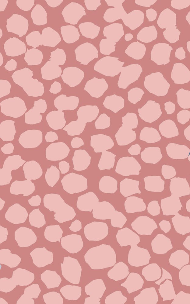 Blush Minimalist Marks