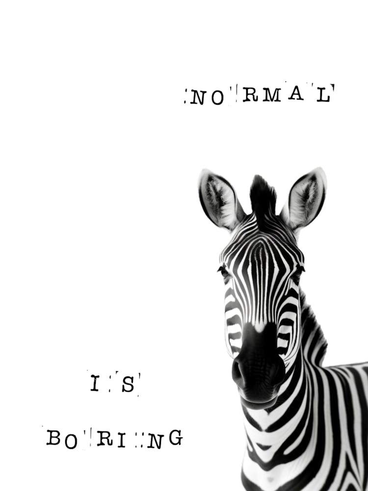 Zebre 1