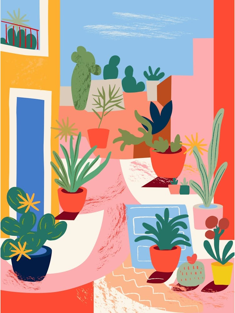 Cactus Garden