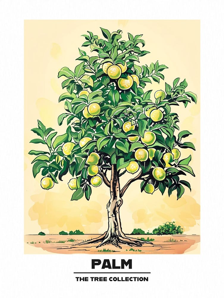 Palm Tree Storybook Illustration 2 Poster