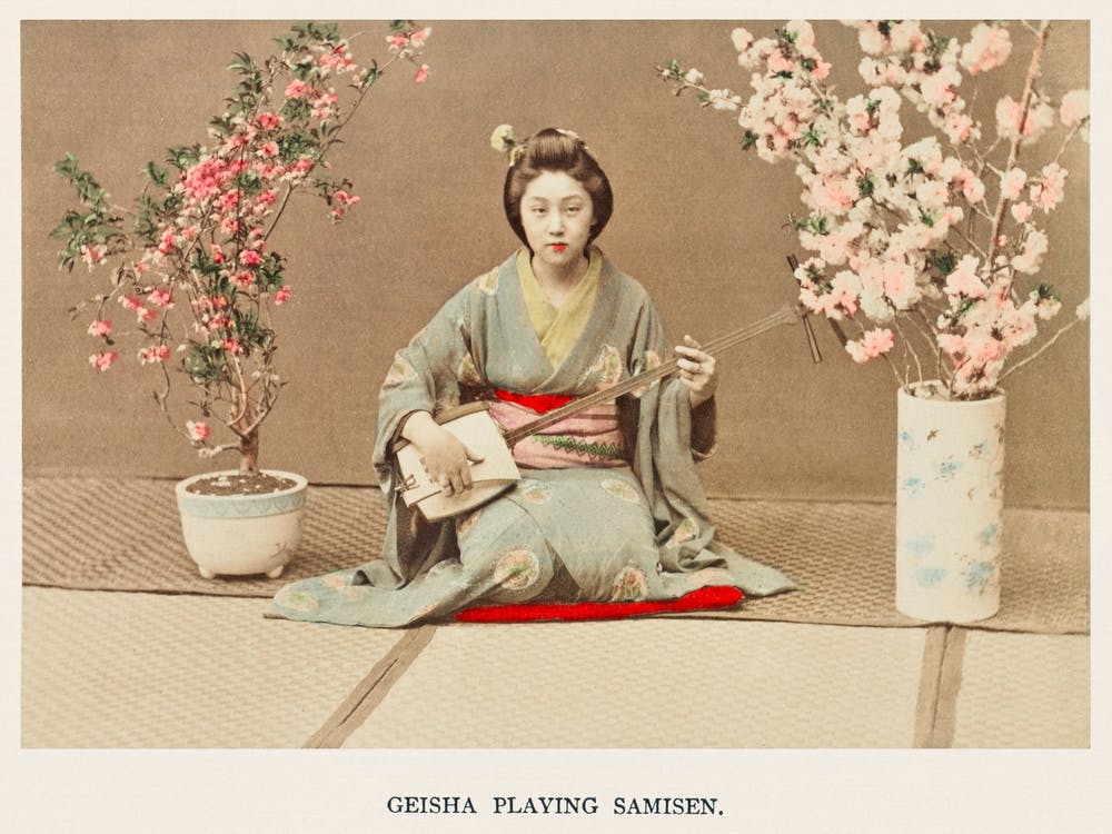 Geisha Playing Samisen