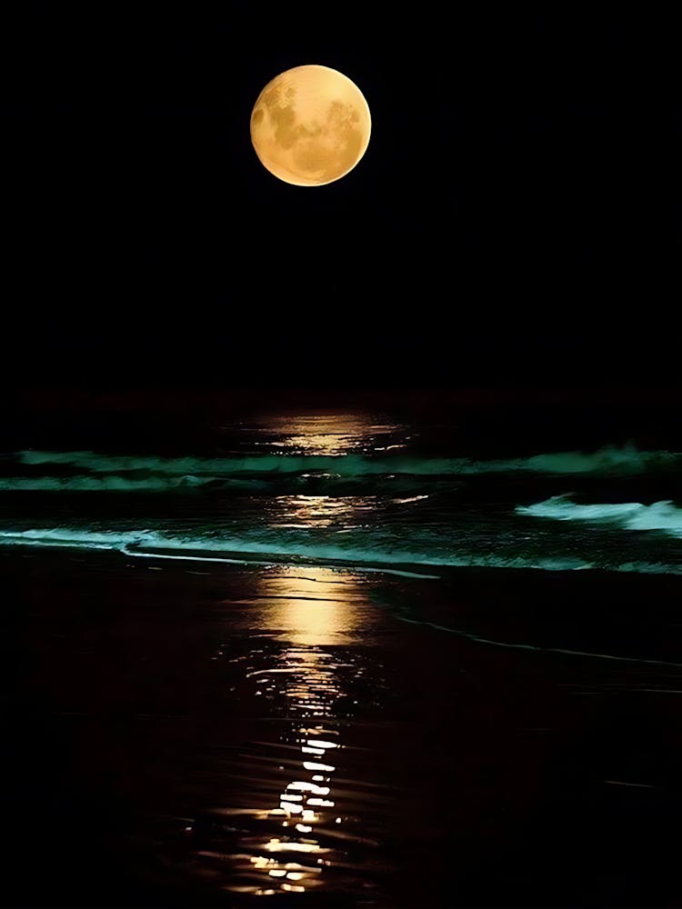 Full Moon On The Beach