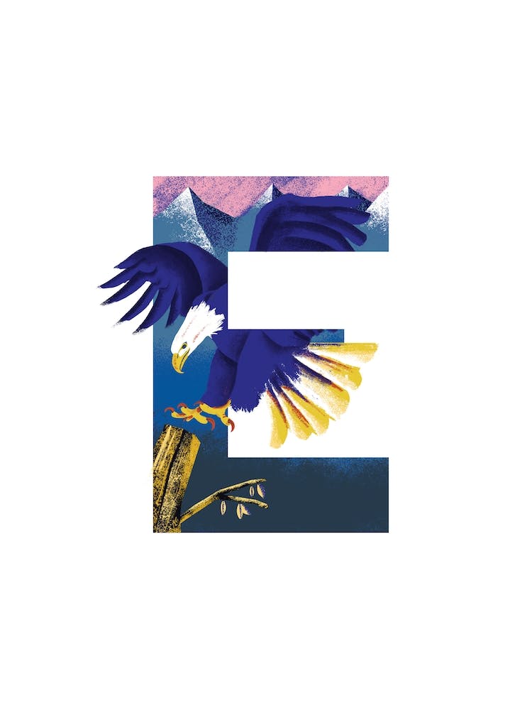 E Is For Eagle