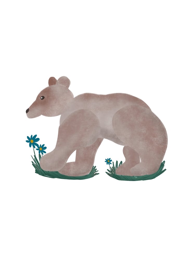 Woodland Bear Flowers 1
