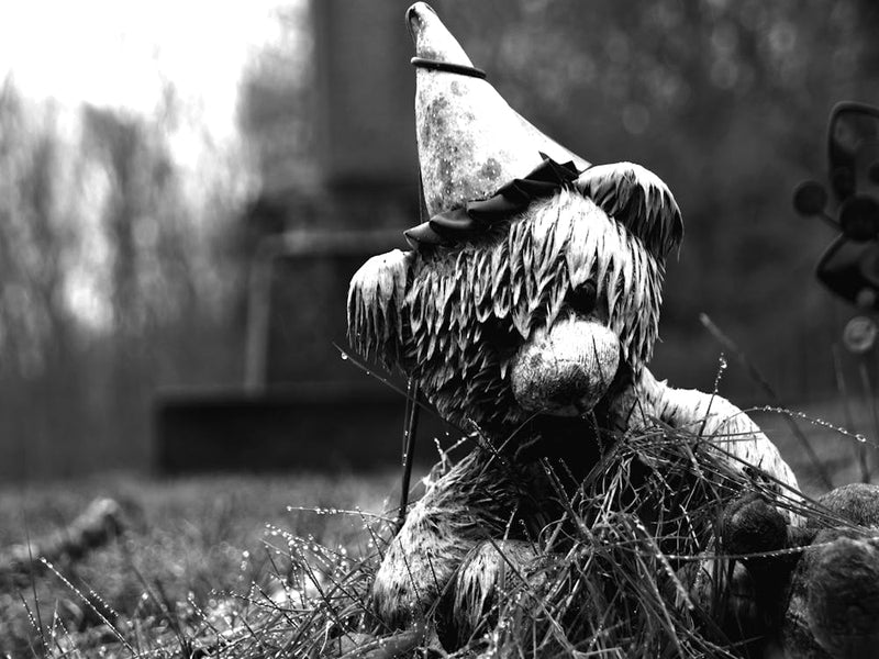 Wet Bear BW