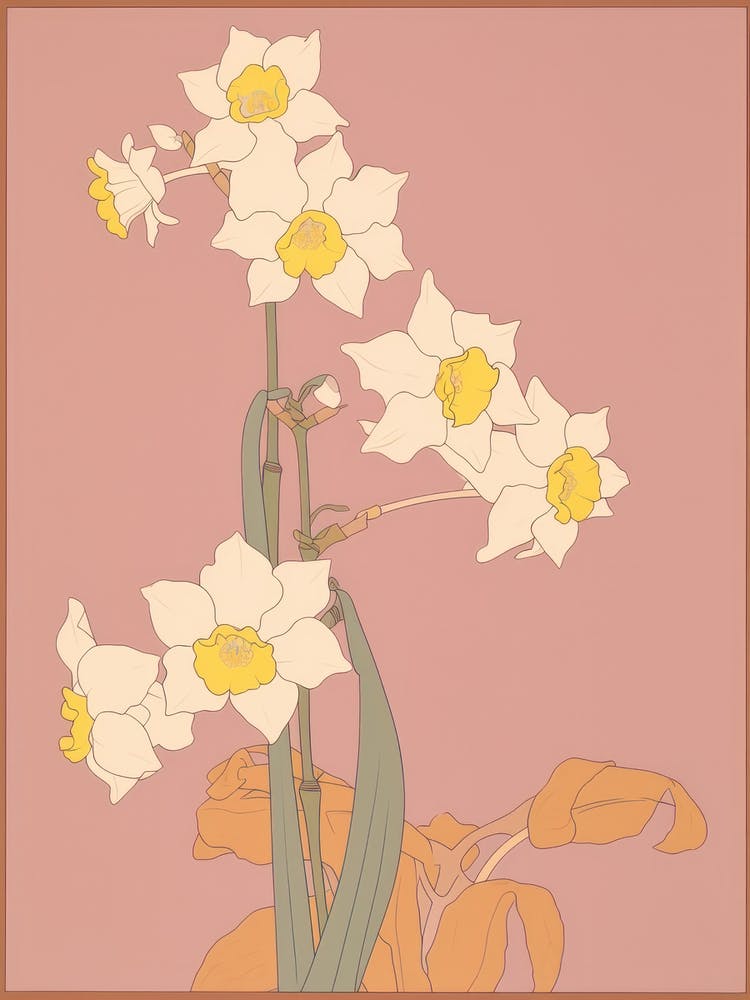 Narcissi Flower Big Bold Illustration 4