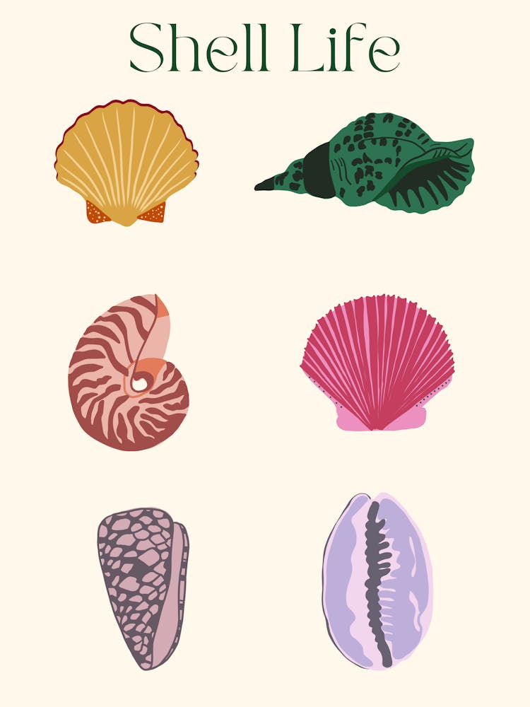Shell Life