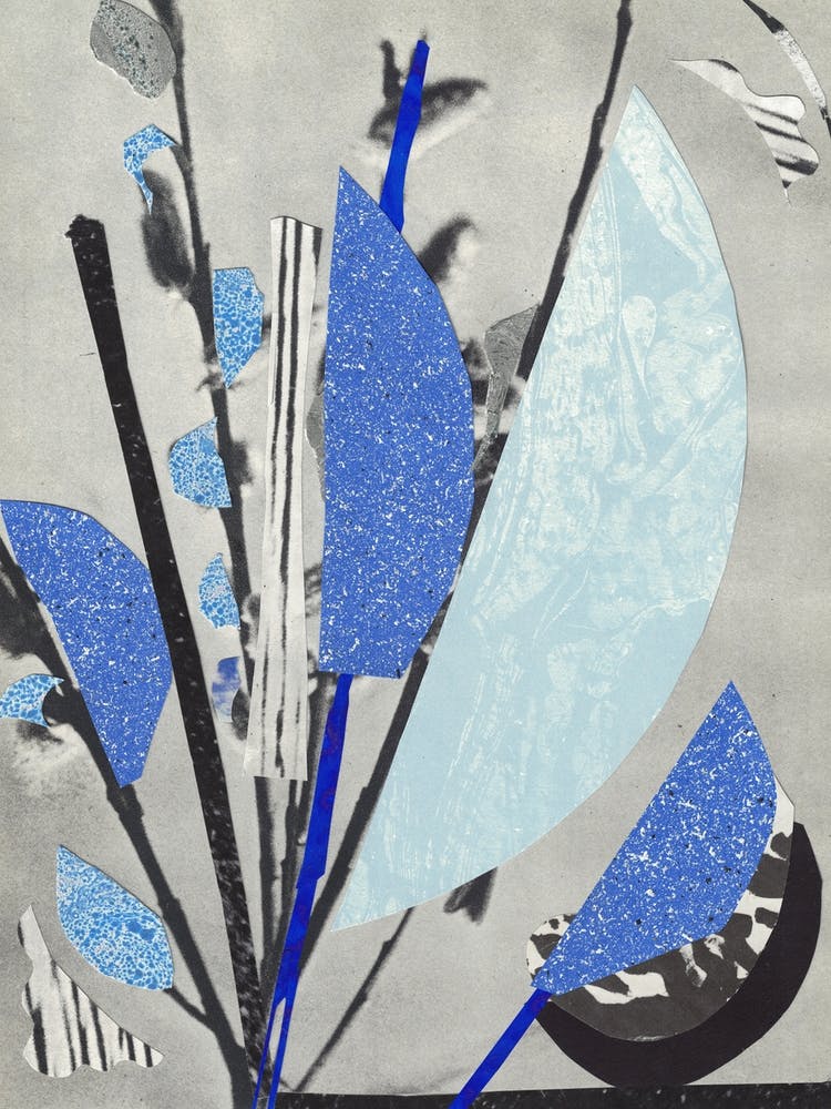Bouquet Bleu