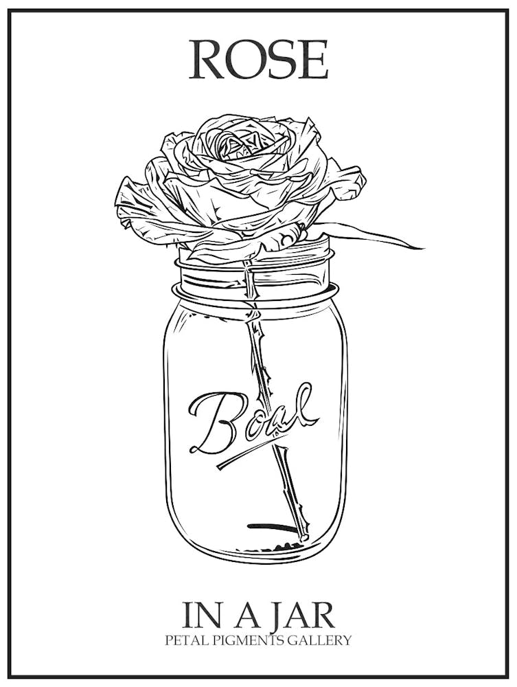 Rose In A Jar Line Drawing 1 Poster